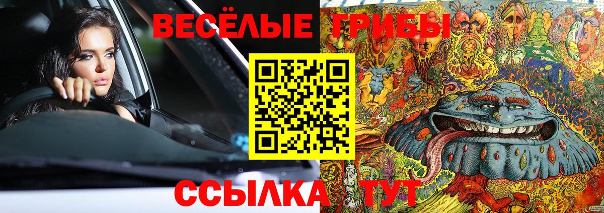 Галлюциногенные грибы MAGIC MUSHROOMS Людиново
