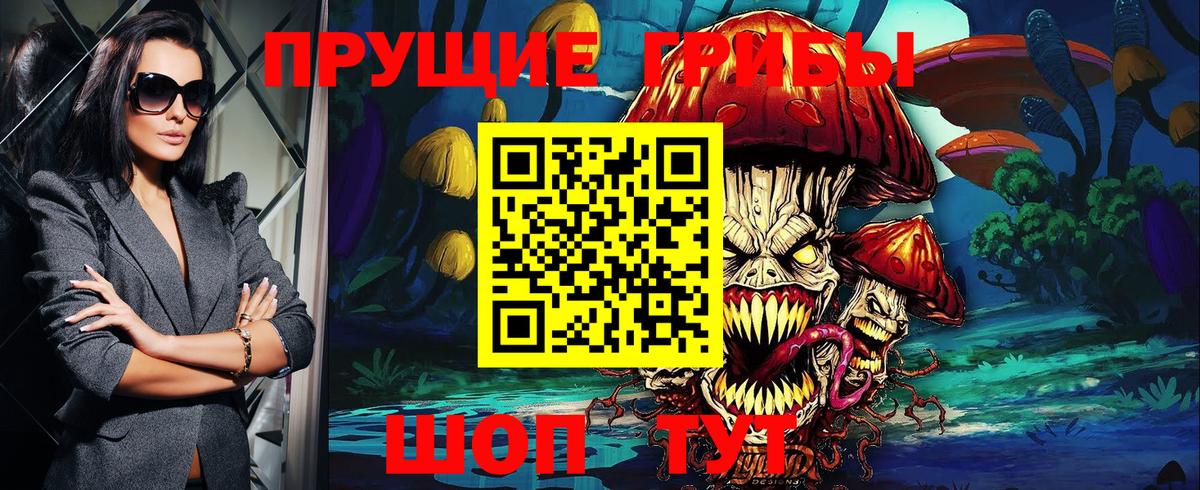 Людиново  Псилоцибиновые грибы Cubensis  Вход с VPN 